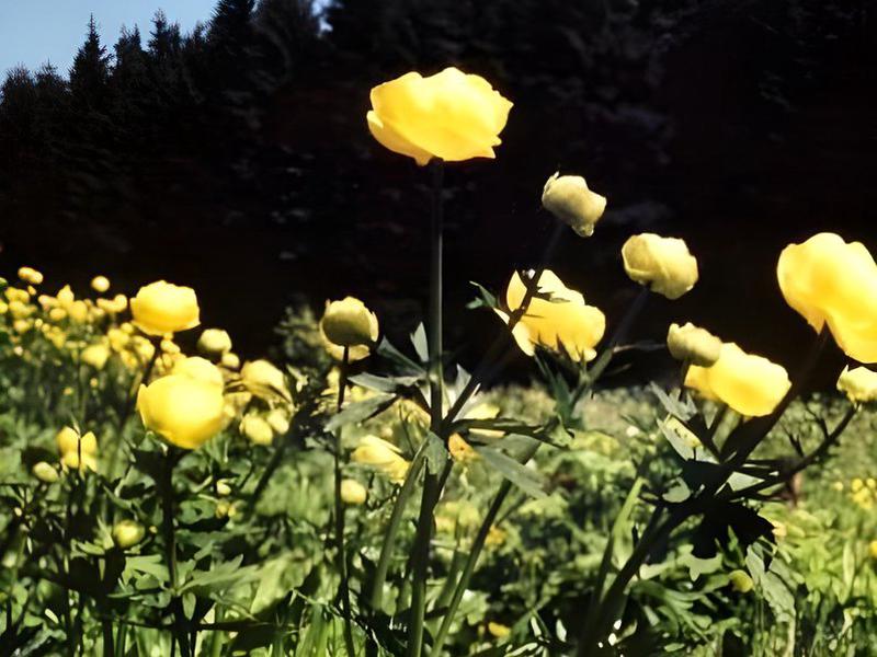8E64AD77F58B113642C4C328209D4333