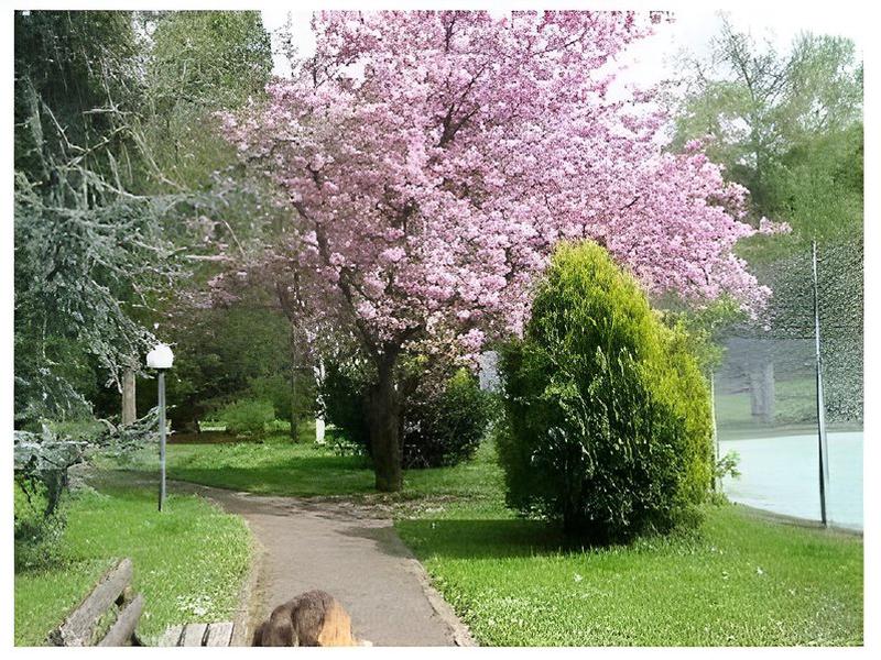 4BB031A5E3462243E602044E76354119