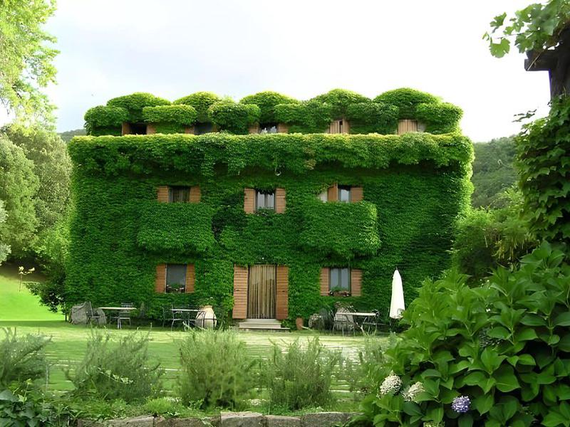 B92DFB2F6E80AB99E0B2F88C18FF39D5