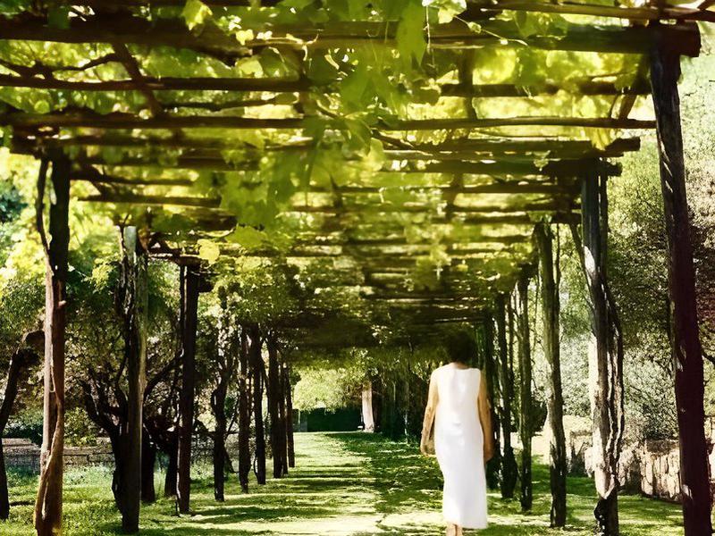 79BD57EFB8944B609DE33A4B5A3DB131