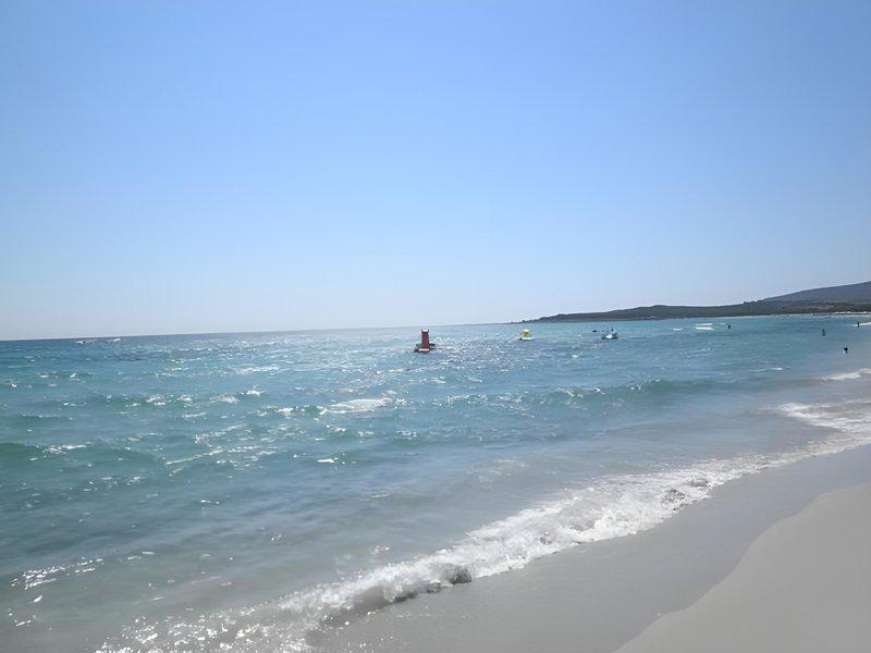 713728FB1E89A39CEC2035850154E36F