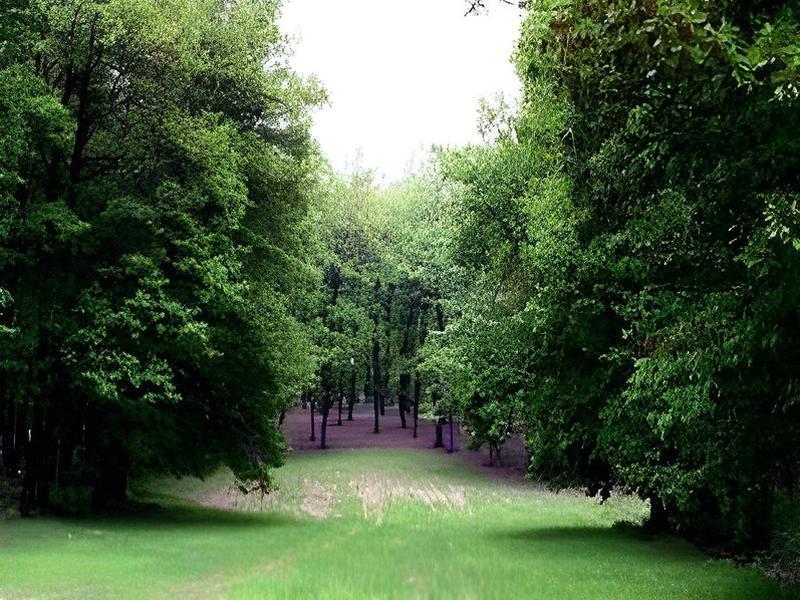 669BCC2E85D1E783F339AF450977669B