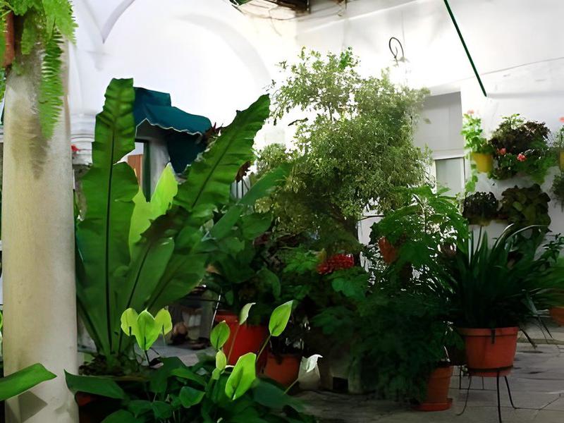 223B70D07DD1C1E335325611B1A250EC