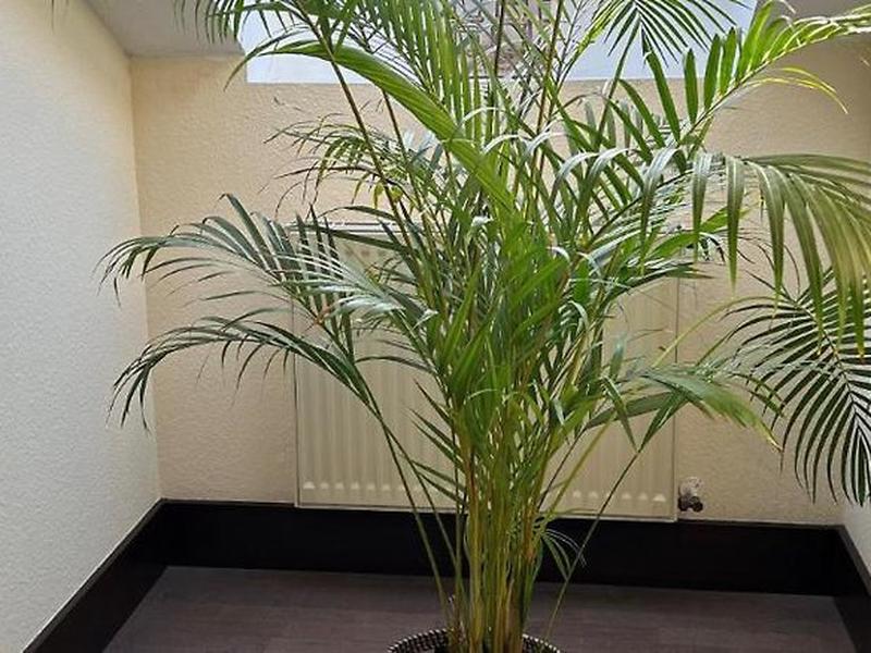 222DBA1E1B02F15921FBCA3557BD1319