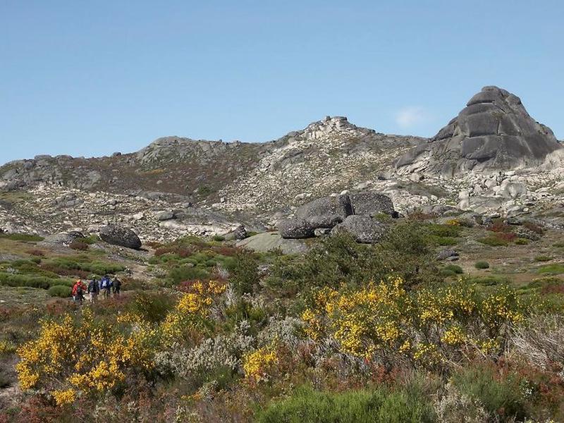 55F26A44558BE99637947B74518B07A3