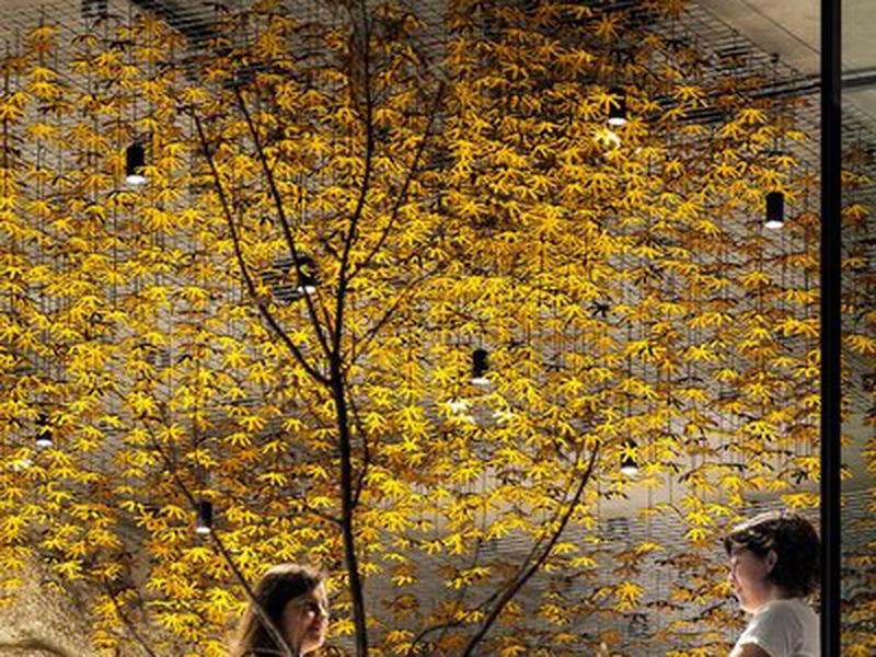 3FBA88A2D9F2E64EA219A90888A78A80