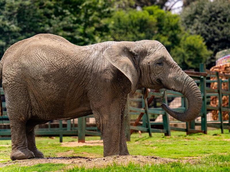 7B66669305ACE9227B5C2BB8379CEB3F