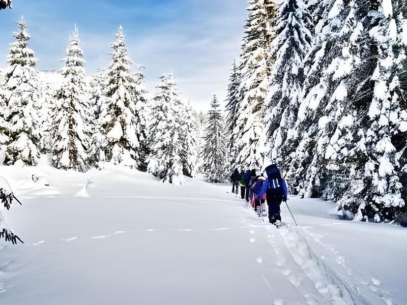 611F098BB934EFE8E90176889CF25872