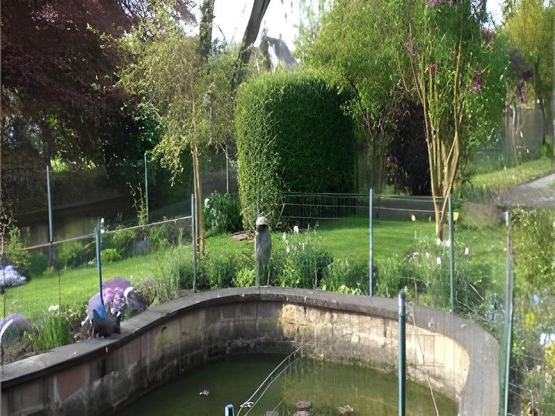 987C6B16155E3D5CEF888A846227B9C5