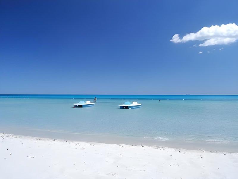 807D55C0B58A83236A3BB929AEF7617E