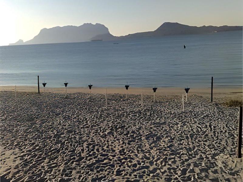 123EF4E07FD2D2FE5B0FA9E4441DCCB8