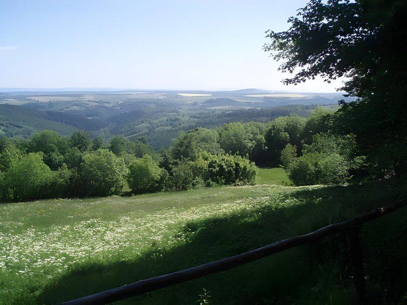 FFEE4131A339AF0858883C15E683B981