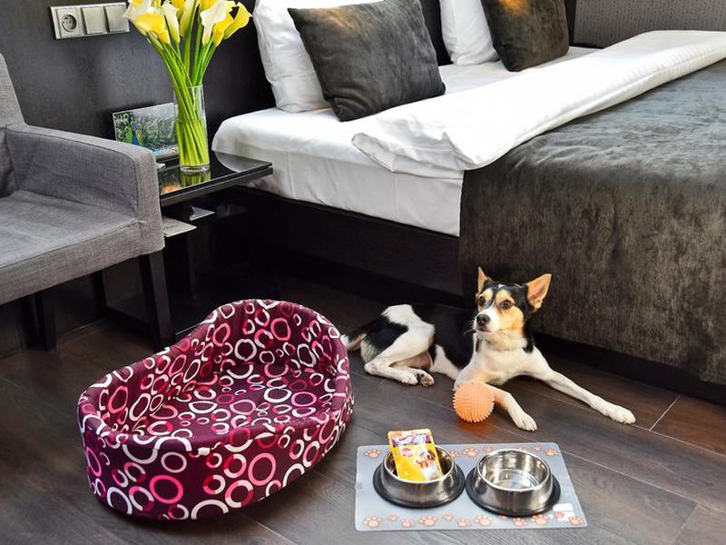 332D04B10BD4F2661C54811C5D54F010