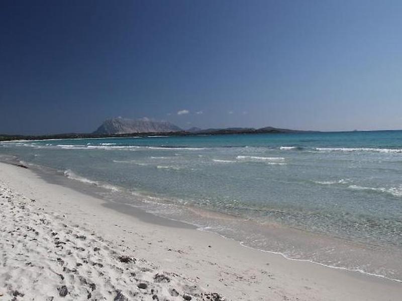 71CF70E321D7E1637593C6496D07F750