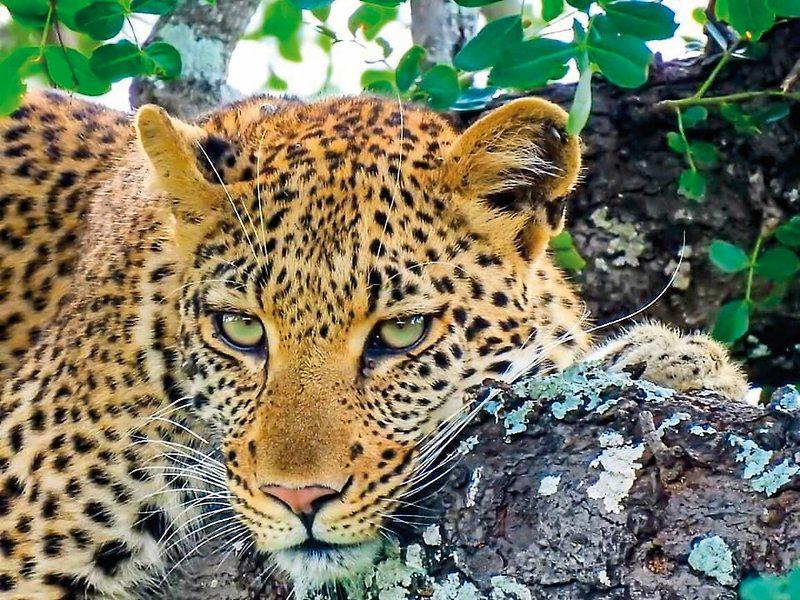 73953BCA111A620B5313BAD7BAF80F3B