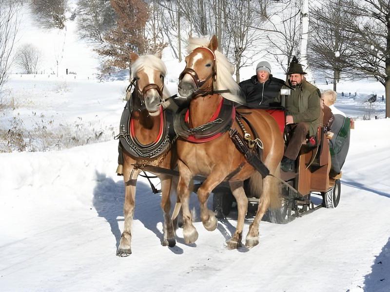 F48E47336077EE3FB62065D9FD5A11CD