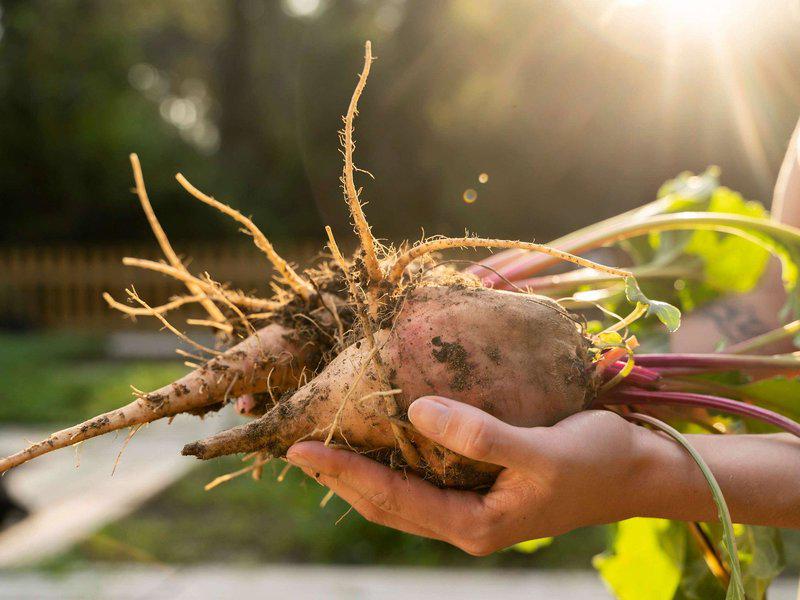 5E32F49F05387833D7F53EE9086E97F7