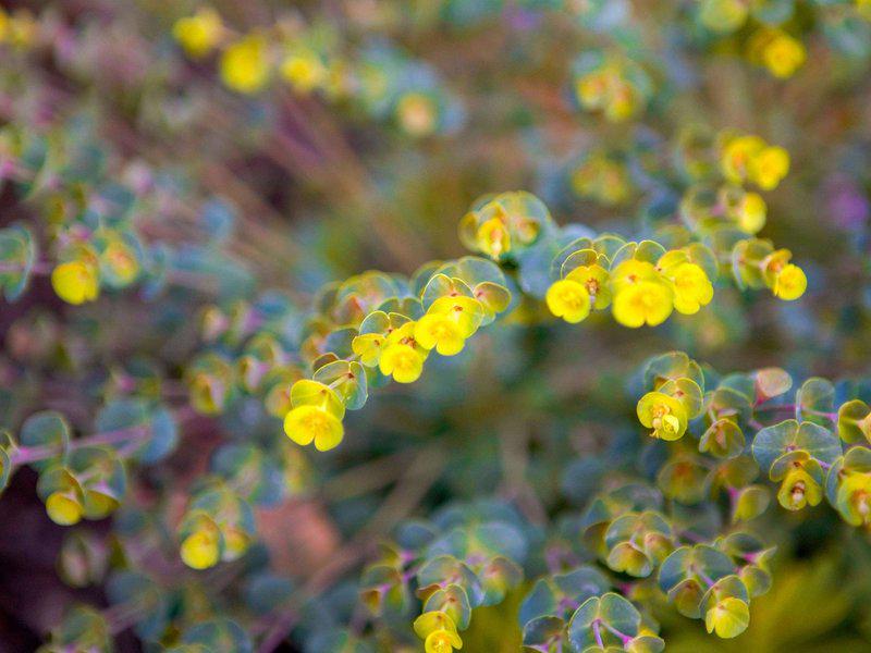 1B846AC15D8ECEE81A2300609D07C629