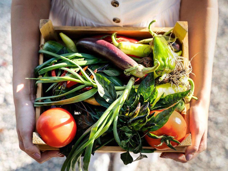 2A85E866BF3A1E8CCE292957D8EC2255