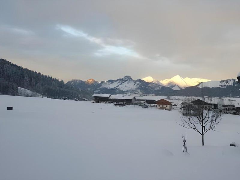 C916612D4FF82A233D7E682649EBCB48