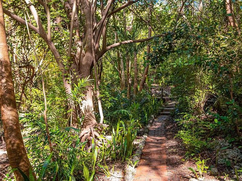 47D852F5224D9AAA7EBC3FE4180BC16C