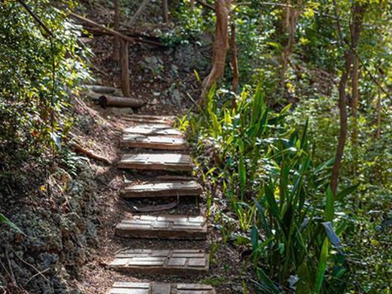 3BB659F365001FFAB24731BD0848B1EE