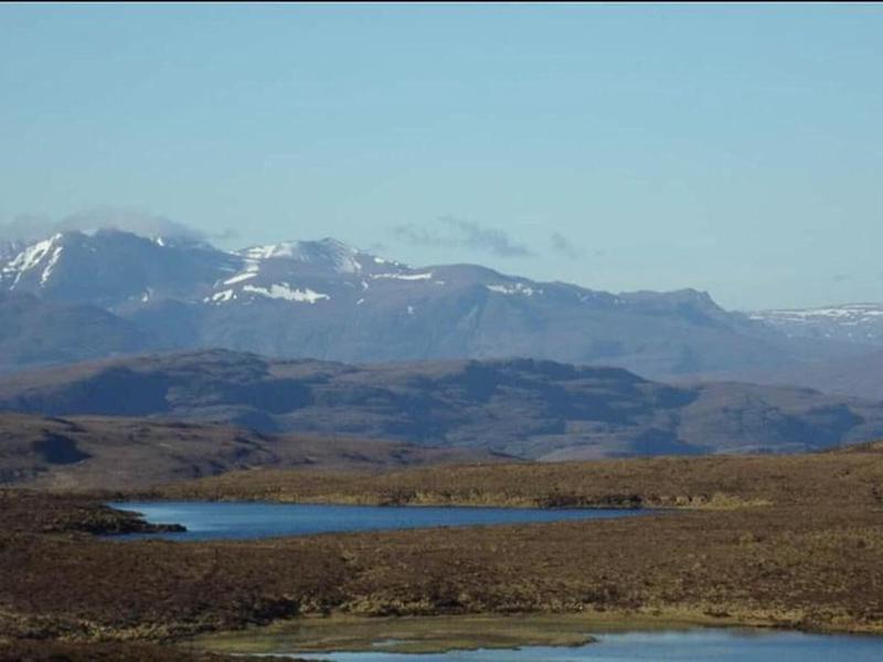 D5310A79532C969CD704E3B5F7478F61