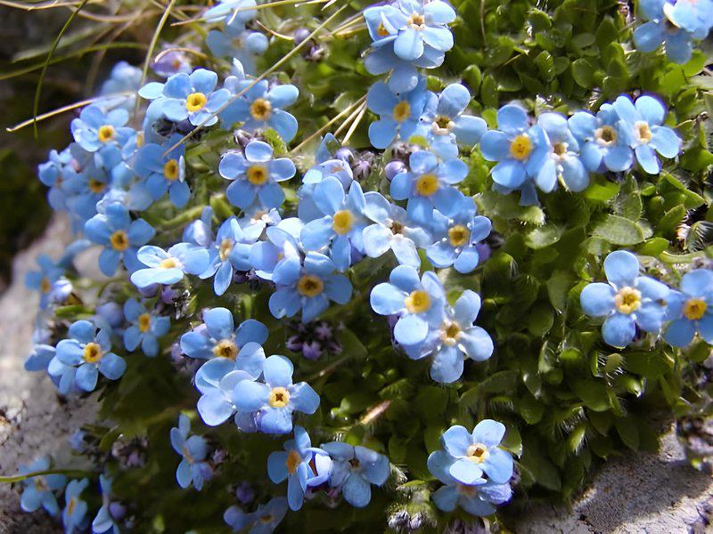 294433B4996F051DA712FB0708F086D1