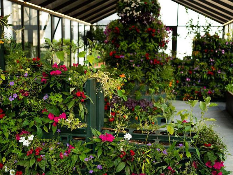 62CE398ED8E7E611CBE131A833D9B300