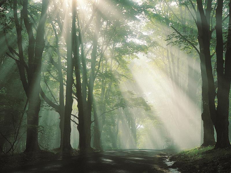 130E695DEDF44916F6113DC4A08D2F2B