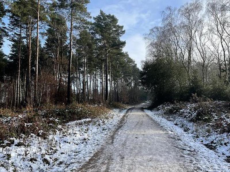 48E6C732F3E1536C151D6EFF6189965C