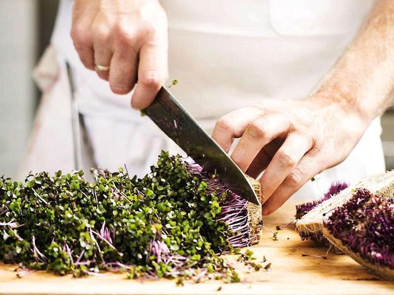 BAAD570F0D70A2629B3278E53009AB0D