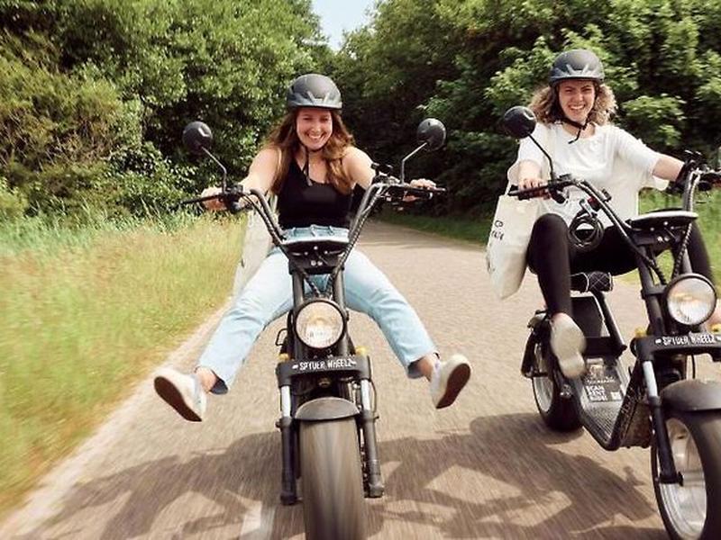 08DEC057F80B775E8739DCD2733BE3D8