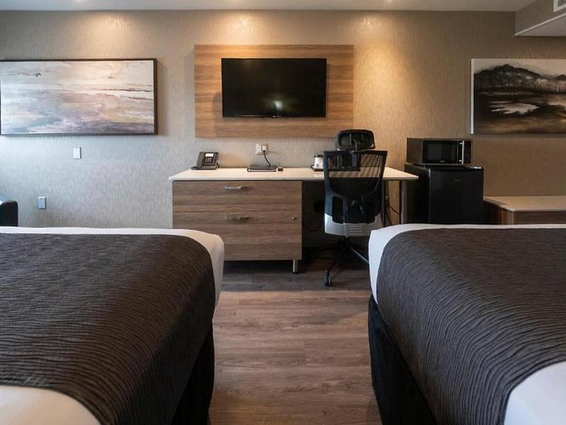 009519176E2A7FA98D3776F35692F25C