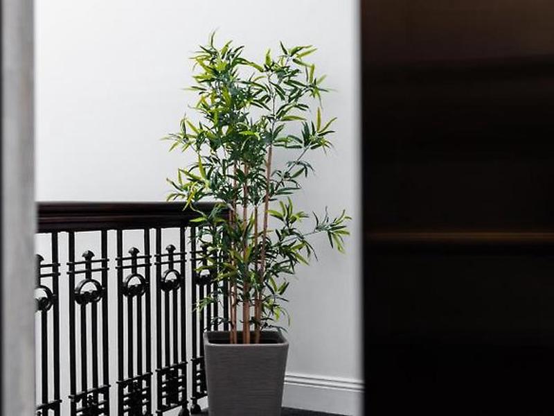 8715F6532131381BA5463104B8C4B135