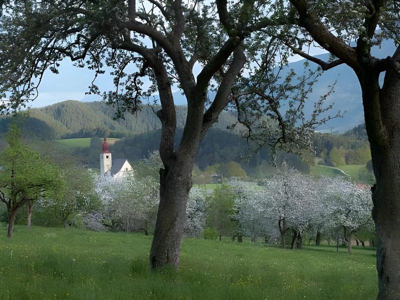 884F7F86C6ED9963F26B417AEB422CE6