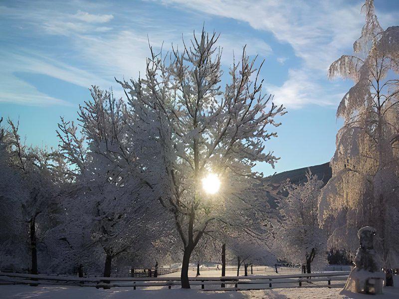 3E41D120521AD030D682022DA2197D4F