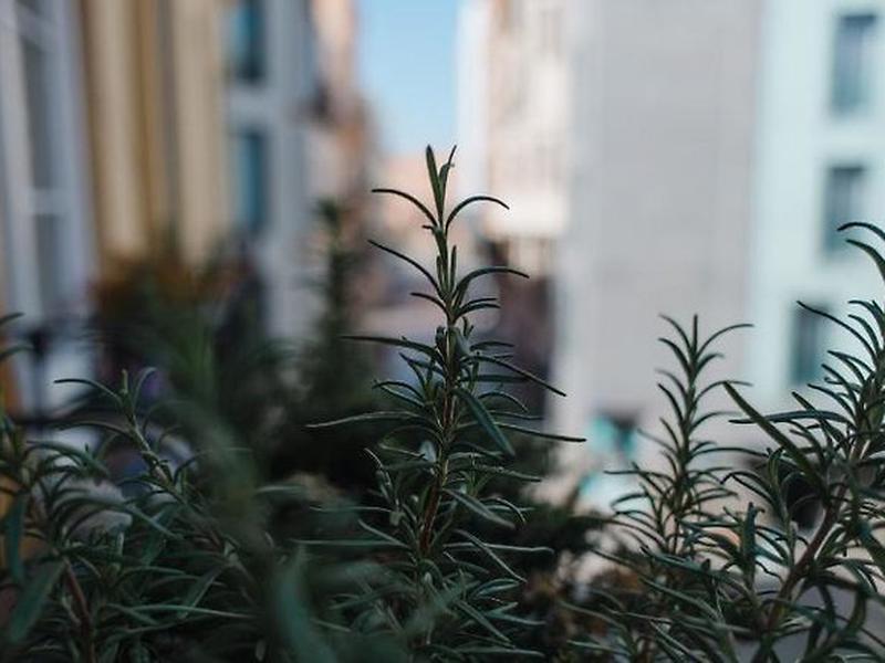 7842C6DB1ECFDA58C0C72A1FE796D154