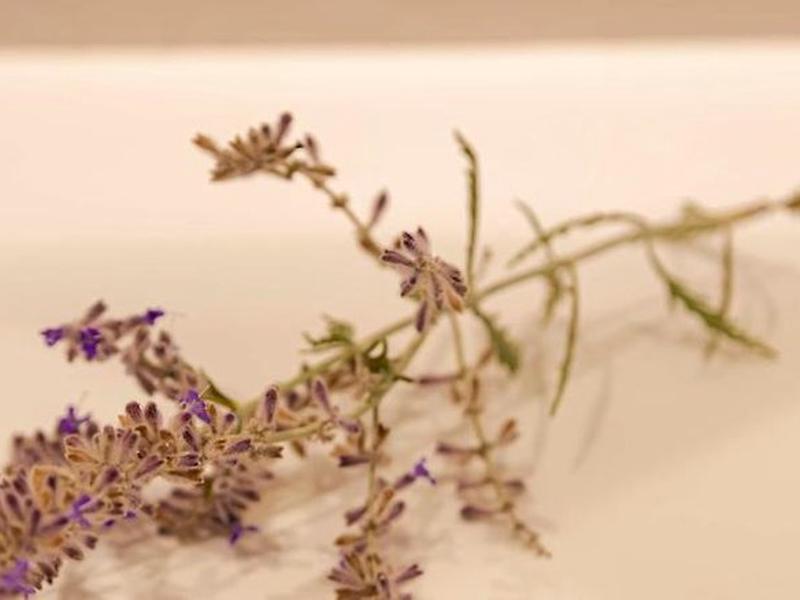 1E39F922A09834BE07BE2AC7EFBD6862