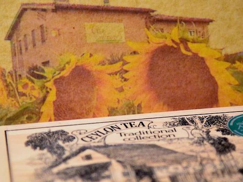 8BD92BA72D86238AABDF3F435E9012A0