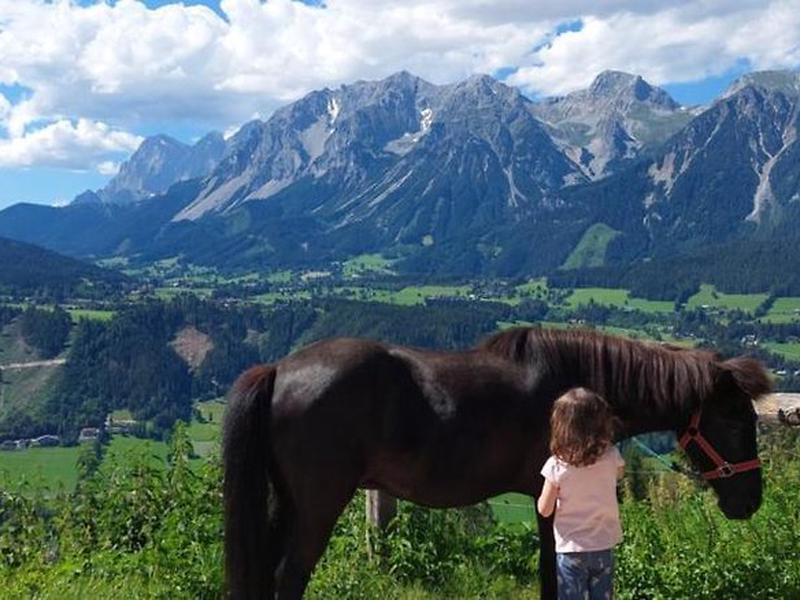 565125B5A4BB725149B5DA0B00541F00