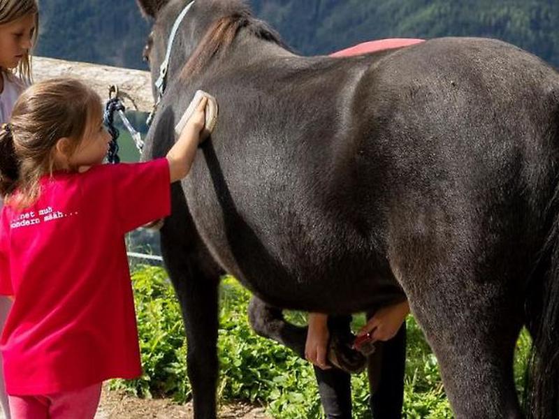 7F89068801B5029999F4931314FE3968