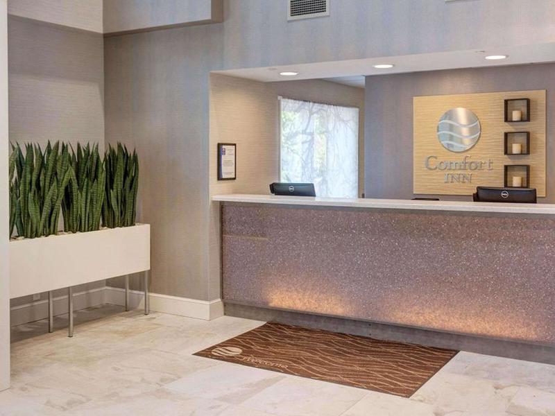 33035ADA77070046A8493F439627D7CA