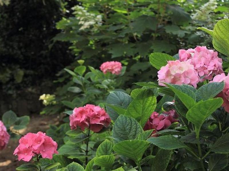 802A7CDD22306A88606EC3349C173C21