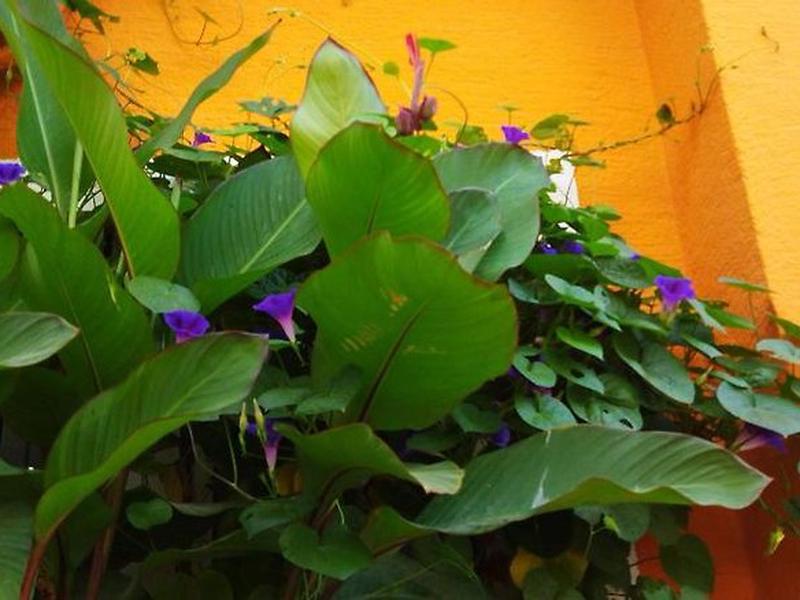 1B3056DB3A48E6C8F14FBC162FF8C6C8