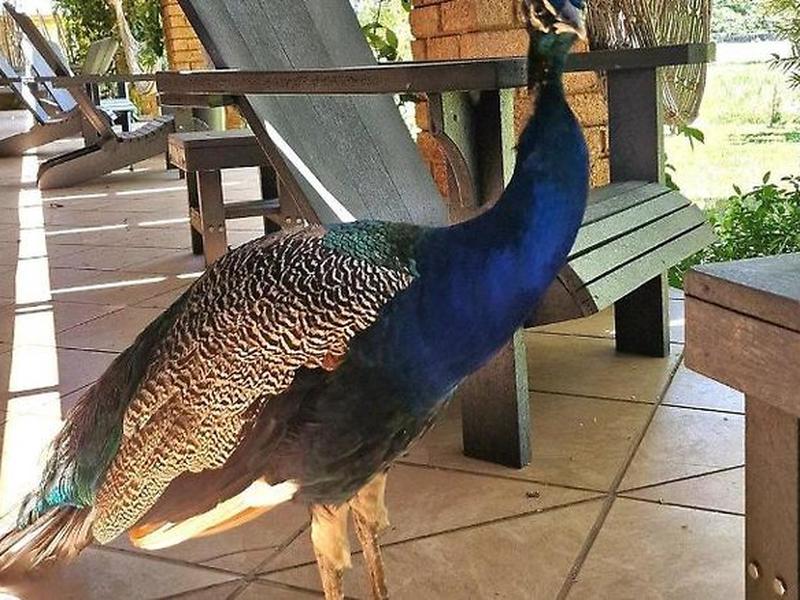 03482ED91FD734A66ACA8CDD9C2BA126