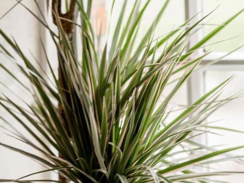 9754FBEA38753961E45C79D3821090EB