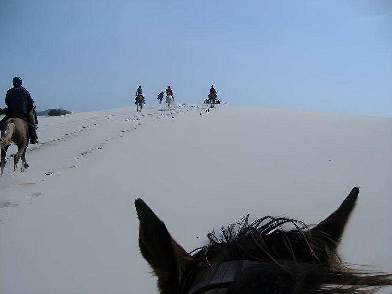 C034D25514C92409B73A2AB3D2A5A500