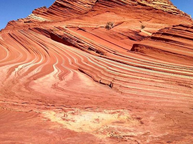 EEADF4906A1E52314E62C4A3F38CEDF0