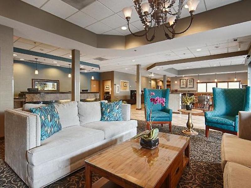 3FA589AD009E03809C4FF151DCFEAD45